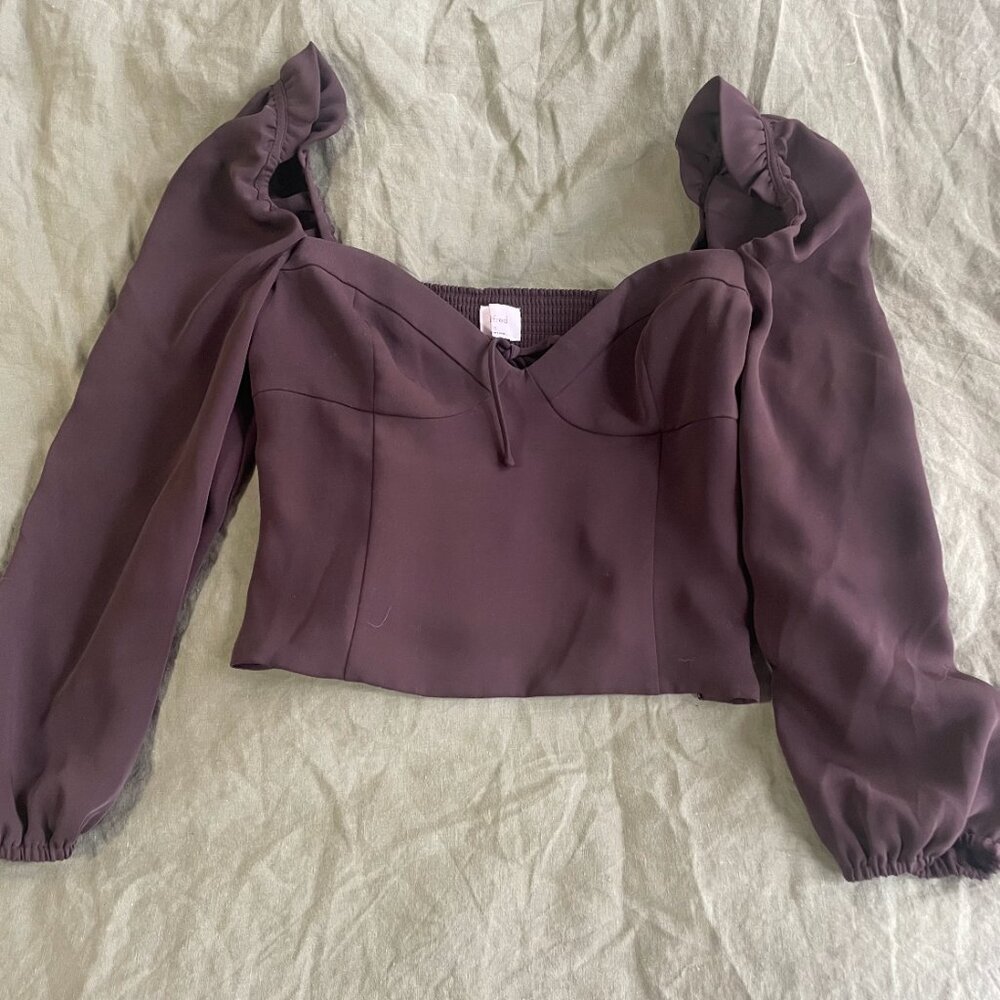 Aritzia Long Sleeve Blouse